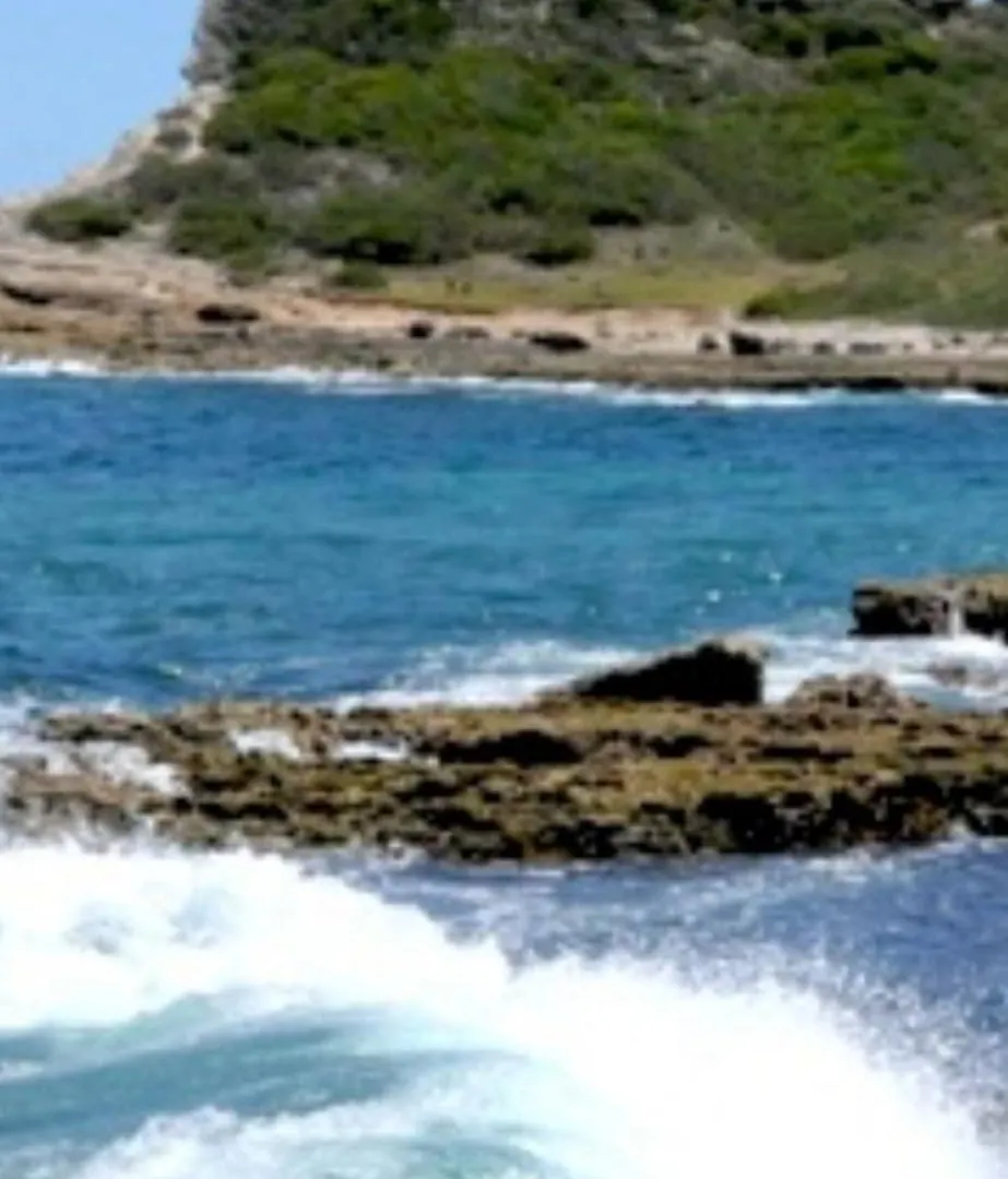 La Cabane De La Pointe Saint-Francois  0*, Saint-Francois (Grande-Terre)